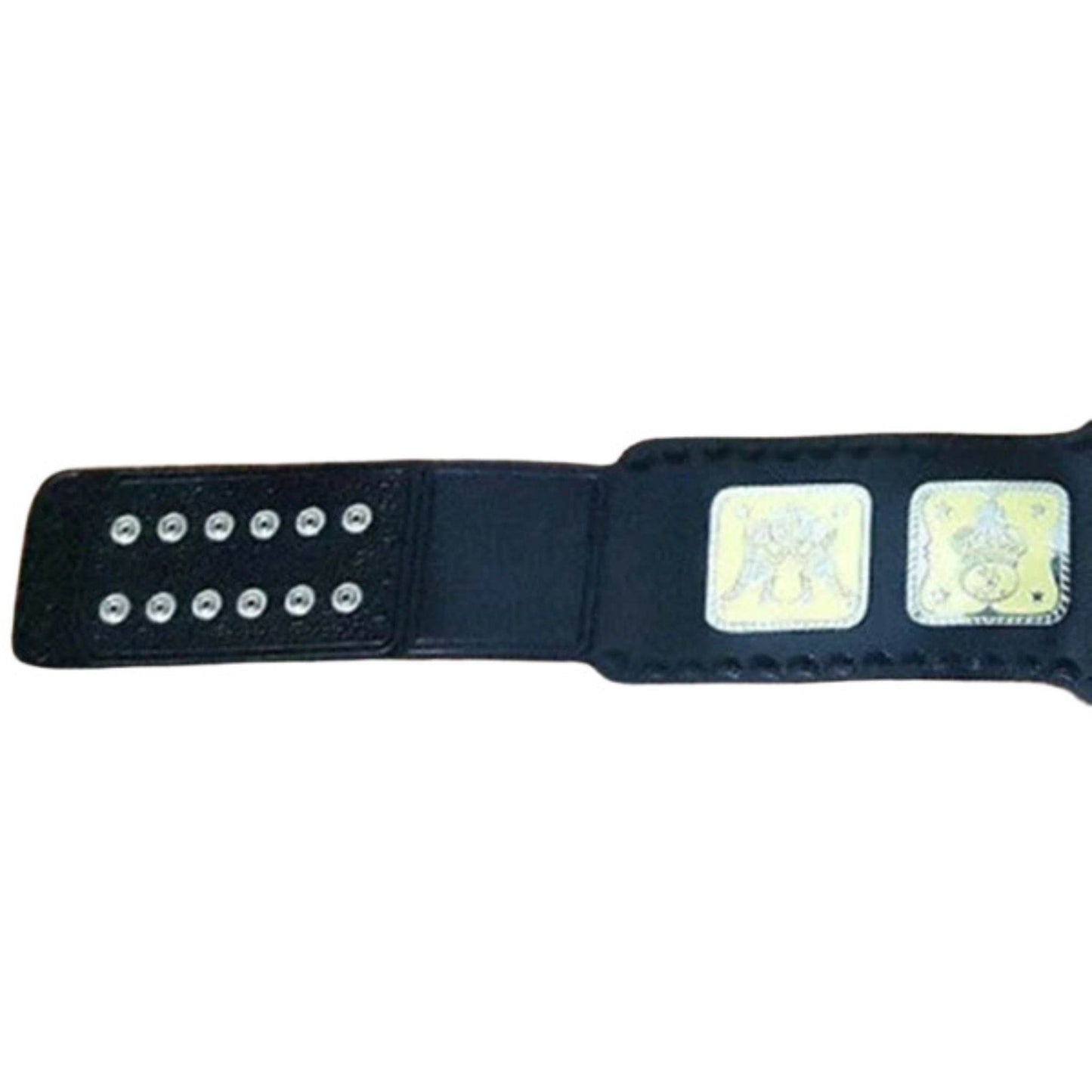 AWA World Tag Team Championship Replica Title Belt Championship Belt WWF Belt