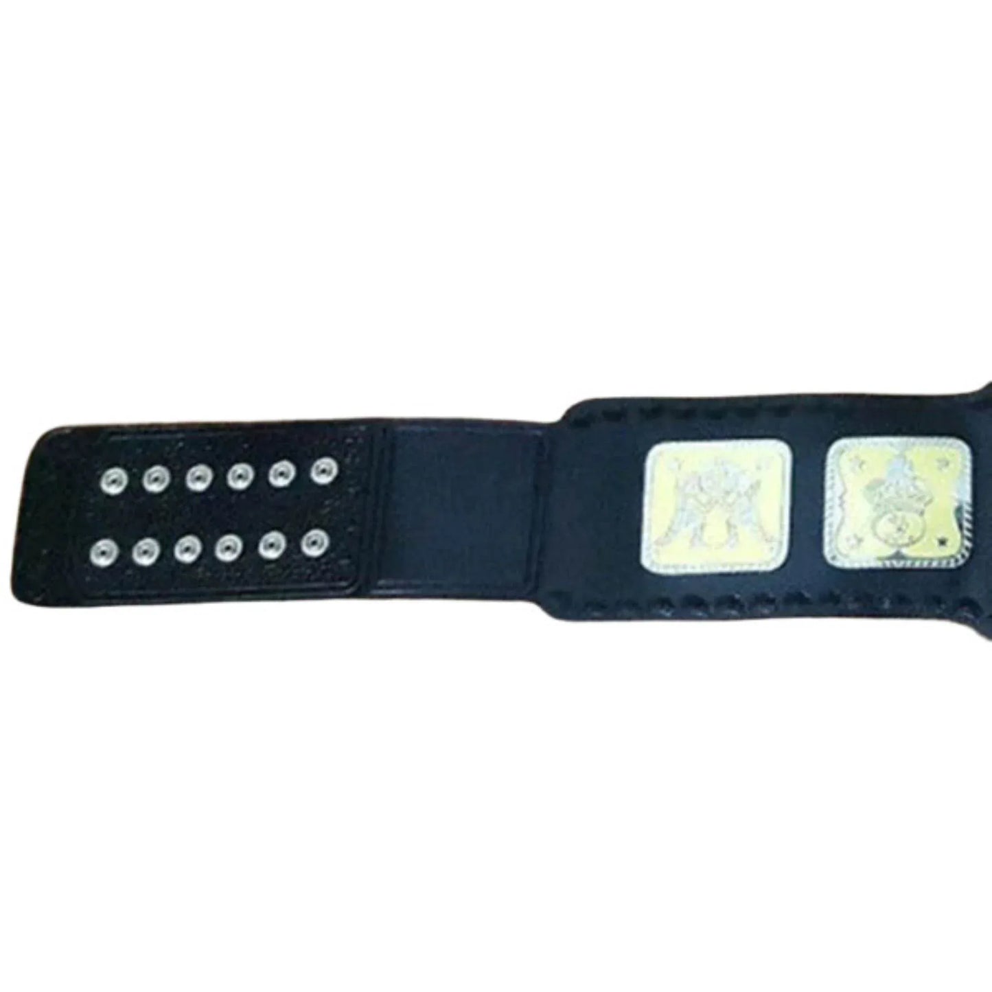 AWA World Tag Team Championship Replica Title Belt Championship Belt WWF Belt