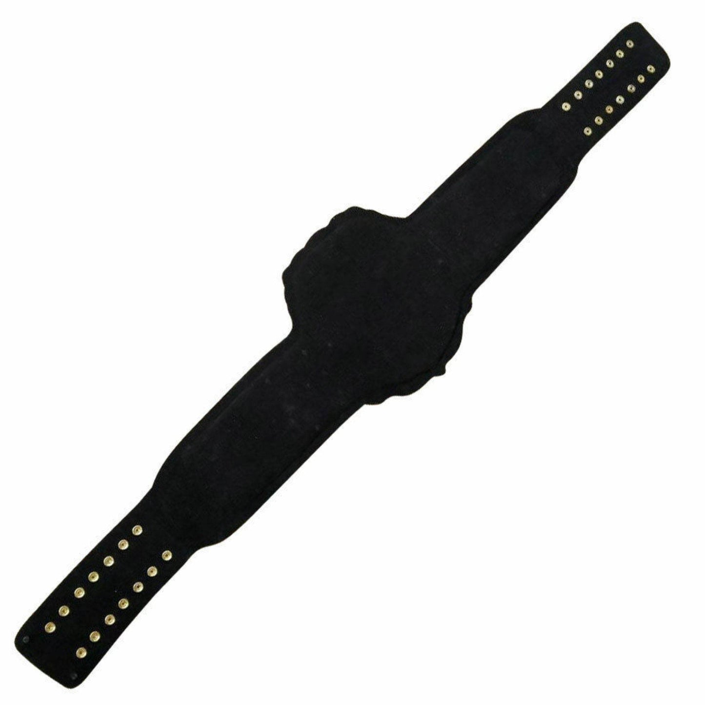 IWGP Intercontinental Championship Replica Title Belt Championship Belt WWF Belt