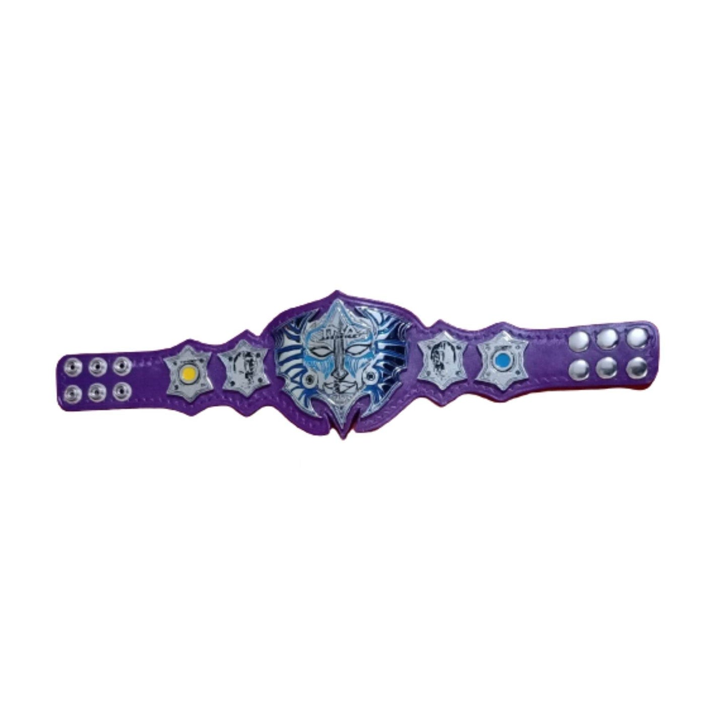 Jeff hardy mini championship replica belt Championship Belt WWF Belt