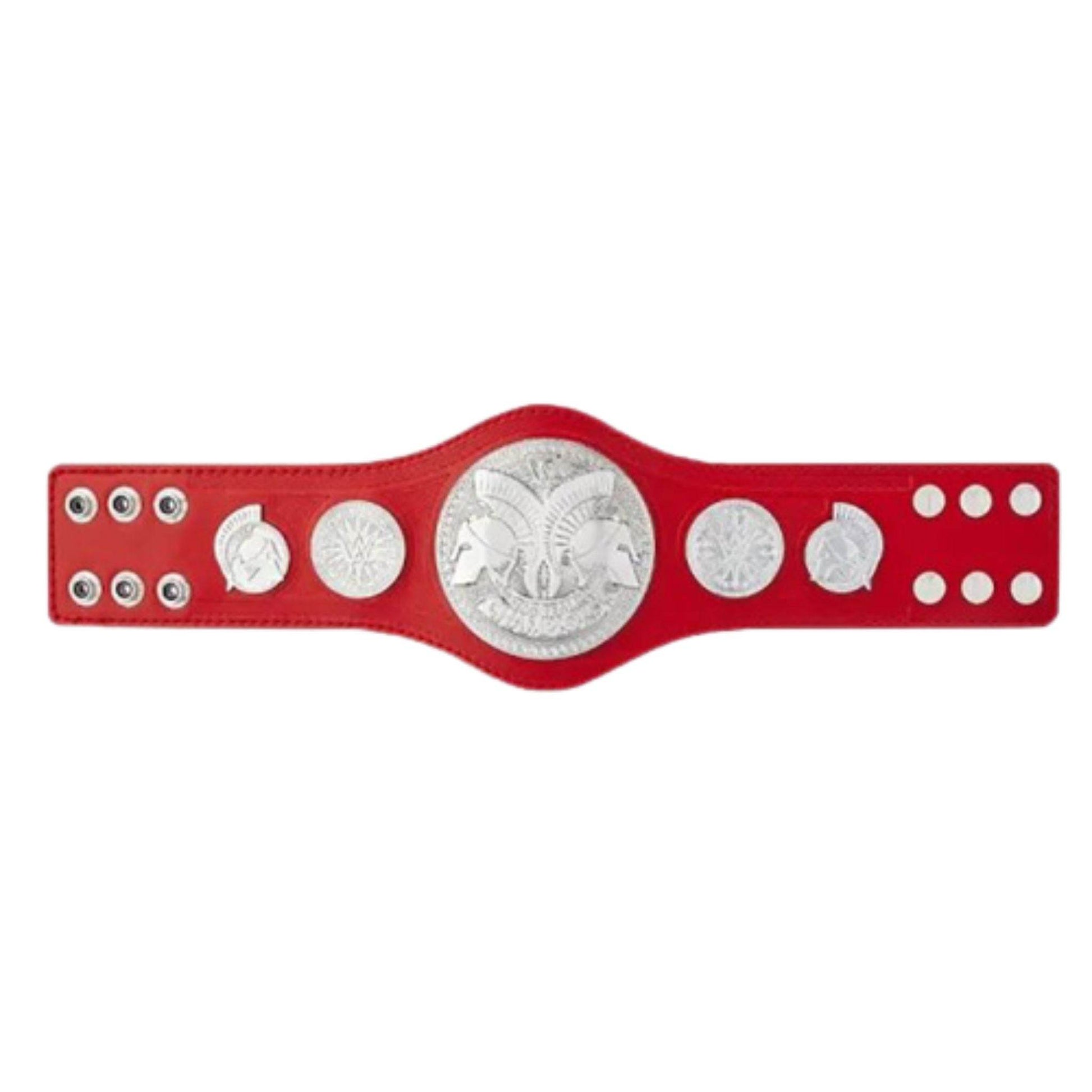 raw wwe tag team belts championship kids replica titleChampionship BeltWWF Belt