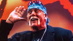 Why Is Hulk Hogan Not in the WCW Documentary? - WWF Belt