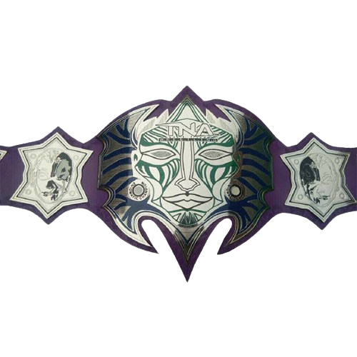 Jeff Hardy Enigmatic MMA Undisputed Championship Belt