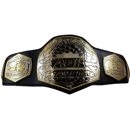 MMA Art of Champion Fighting Championship Belt