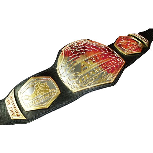 MMA Art of Champion Fighting Championship Belt