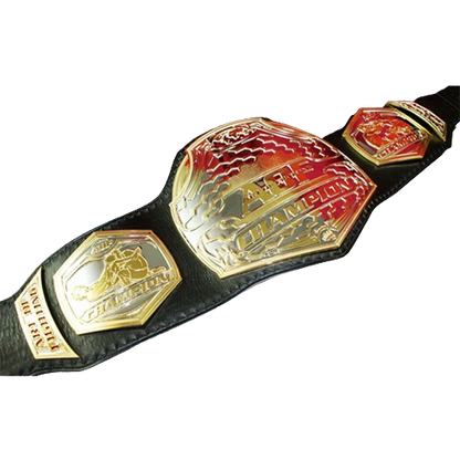 MMA Art of Champion Fighting Championship Belt