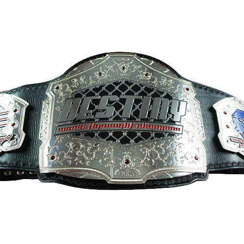 Destiny MMA Championship Belt