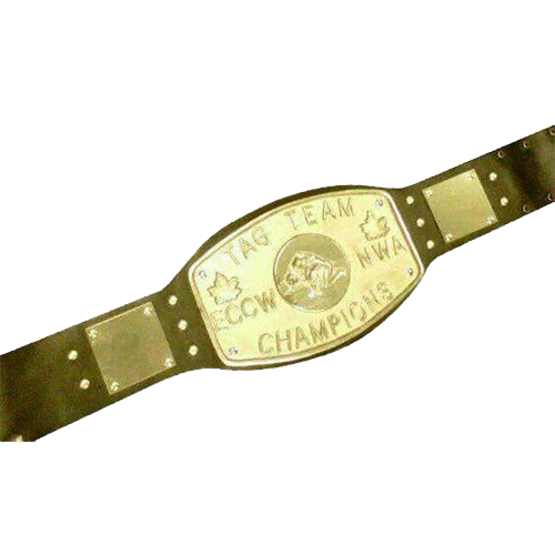 ECCW NWA Tag Team Wrestling Champion Belt Elite Canadian Championship Wrestling