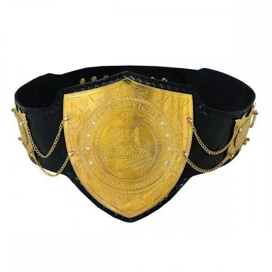 Glory World Heavyweight Wrestling Kick Boxing Championship Belt