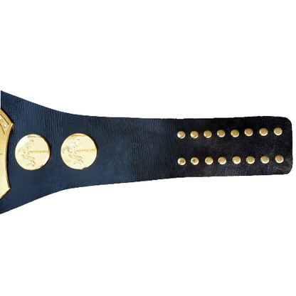 IJ WAR International Junior Heavyweight Championship Belt