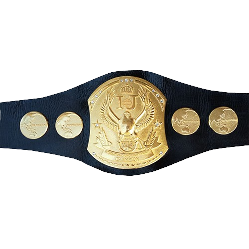 IJ WAR International Junior Heavyweight Championship Belt