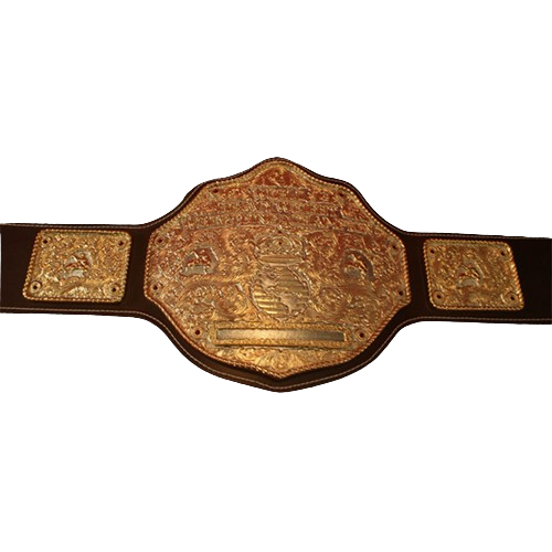 Jeweler Style Big Gold Belt