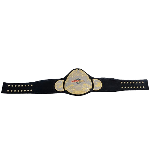 NWA Heritage title Wrestling Champion Belt Heavyweight Sean Waltman X-Pac TJP
