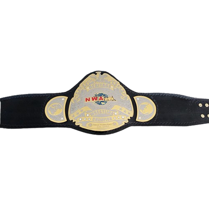 NWA Heritage title Wrestling Champion Belt Heavyweight Sean Waltman X-Pac TJP