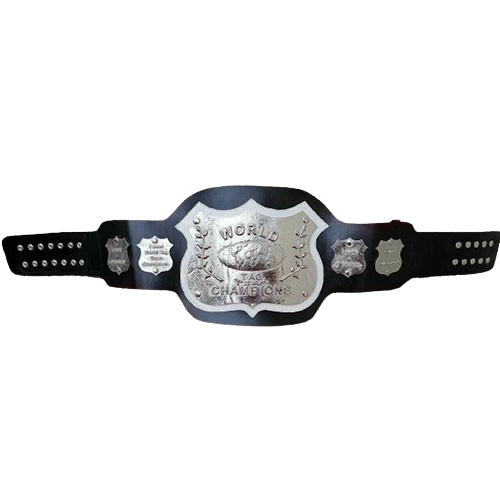 NWA World Tag Team Championship Belt