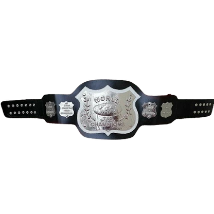 NWA World Tag Team Championship Belt