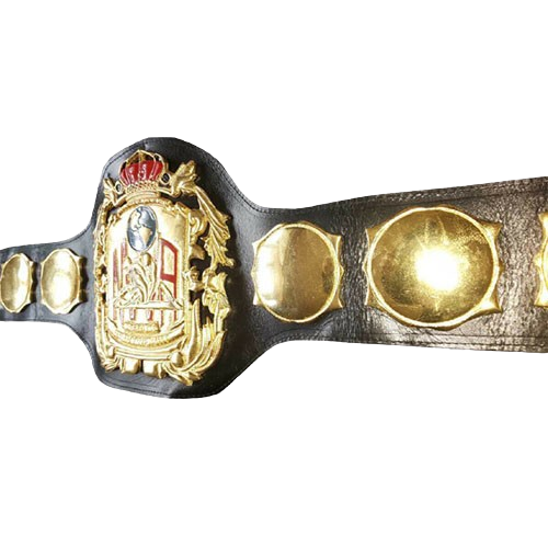 NWA Wrestling Heavyweight Champion Belt Gene Kiniski Dory Funk Jr. Old World