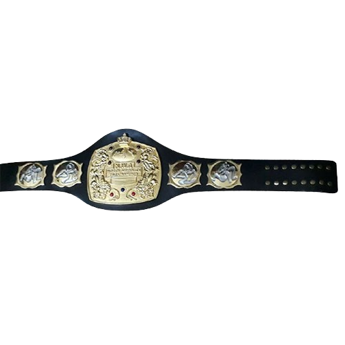 Old NWA North American Tag Team Championship Belt