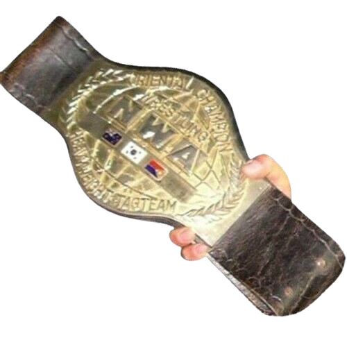 Old NWA Oriental Tag Team Championship Belt Namhyaesan Wrestling Champion Oh Tae