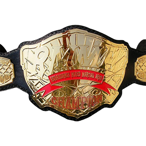 Renaissance Mixed Martial Arts Championship Belt