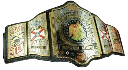 PWI SECW Florida Heavyweight Title South Eastern Championship Wrestling Belt Old