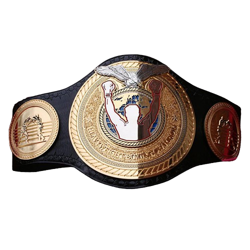 WC Heavyweight Boxing Title Championship belt