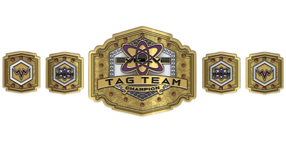 WWE Evolve Tag Team Championship Belt 3