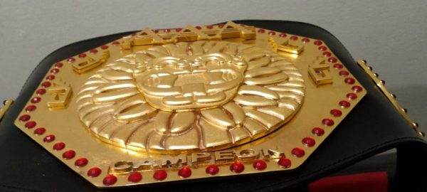AAA Americas Trios Campeonato Mega Championship Belt - WWF Belt