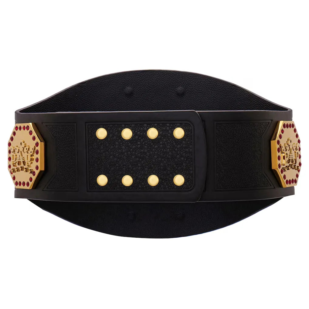 AAA Mega Champion Collector Replica Belt