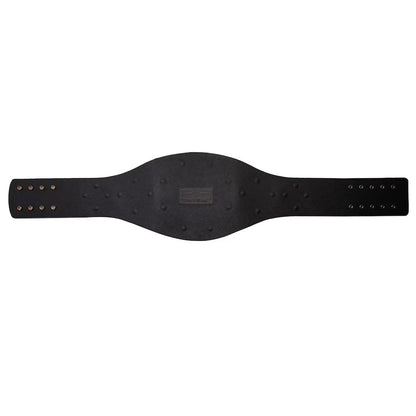 AAA Mega Champion Replica Title BeltChampionship BeltWWF Belt