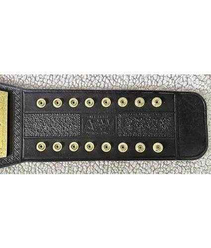 Aew Women’s World Championship Title Belt Replica