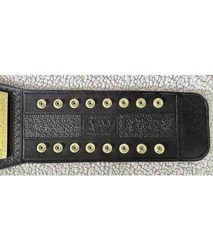 Aew Women’s World Championship Title Belt Replica