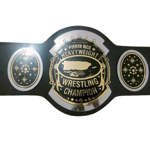 AWA Southern Heavyweight Dual Plated Championship Title BeltChampionship BeltWWF Belt