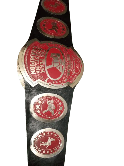 AWA Southern Tag Team Wrestling Championship Title Belt - WWF Belt