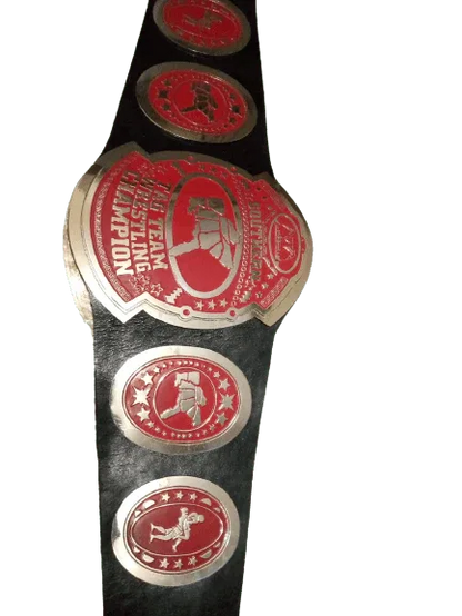 AWA Southern Tag Team Wrestling Championship Title Belt - WWF Belt