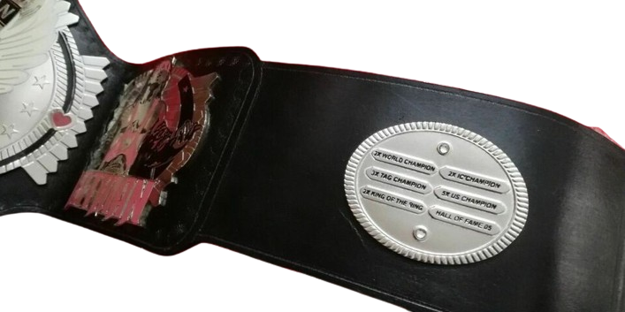 Bret Hart The Hitman Wrestling Championship Title Belt