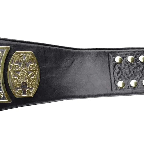 Buzz Sawyer UWF Television Wrestling Championship Belt - WWF Belt