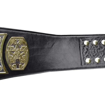 Buzz Sawyer UWF Television Wrestling Championship Belt - WWF Belt
