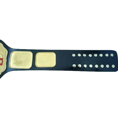 Campeon LUCHA LIBRE Mexico National Champion Belt - WWF Belt