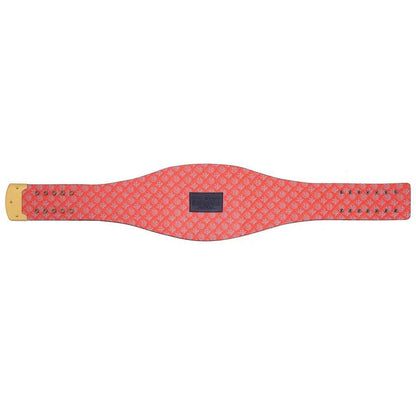 Chicago Bears WWE Legacy Title Belt - WWF Belt