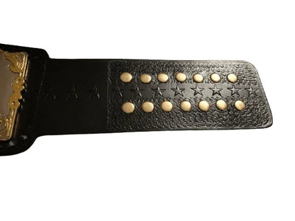 CM Punk Chicago Made Best In The World Championship Belt - WWF Belt