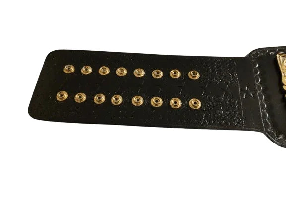 CM Punk Chicago Made Best In The World Championship Belt - WWF Belt