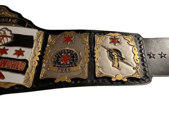 CM Punk Chicago Made Best In The World Championship Belt - WWF Belt