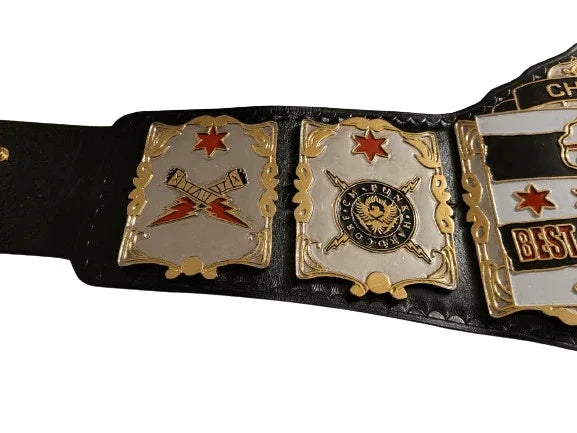 CM Punk Chicago Made Best In The World Championship Belt - WWF Belt