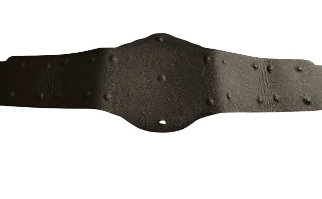 CM Punk Heavyweight Wrestling Championship Belt Adult Size - WWF Belt