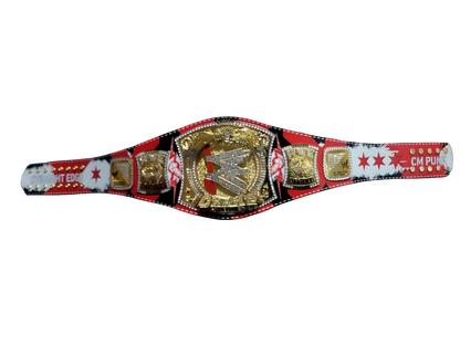 WWE CM Punk Spinner Championship Title Belt