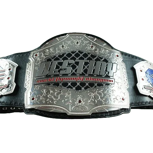 Destiny MMA Championship Belt - WWF Belt