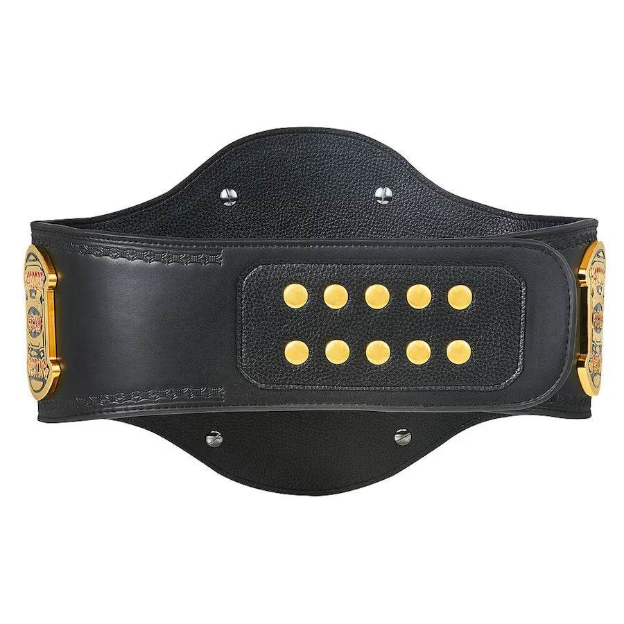 ECW World Heavyweight Championship Replica Title Belt - WWF Belt