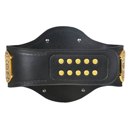 ECW World Heavyweight Championship Replica Title Belt - WWF Belt