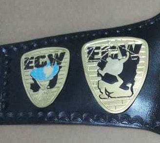 ECW World Television Championship Replica Title Belt - WWF Belt